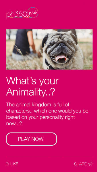 Quiz-Animality